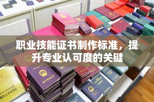 木兰职业技能证书制作标准，提升专业认可度的关键